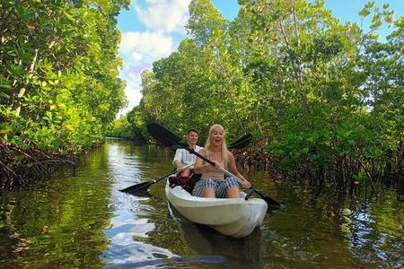 Full day Mangrove kayak + Jazani forest + kuza cave + Paje beach