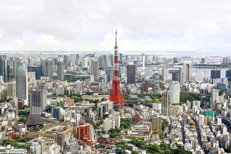 Tokyo Private Tour by Van with English Guide and Photography