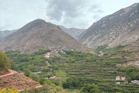 Private Atlas Mountain Discovery Day: remote Amazigh village
