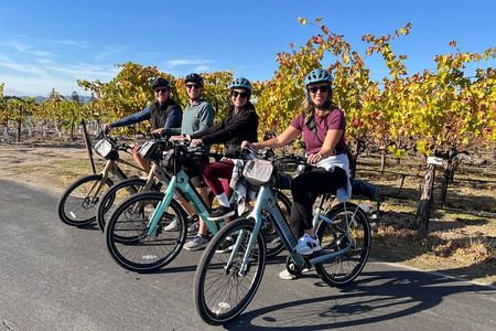 Healdsburg Cycling Wine Tour 
