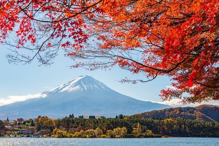 Mount Fuji Full Day Tour form Tokyo Lake Kawaguchi & Yamanaka