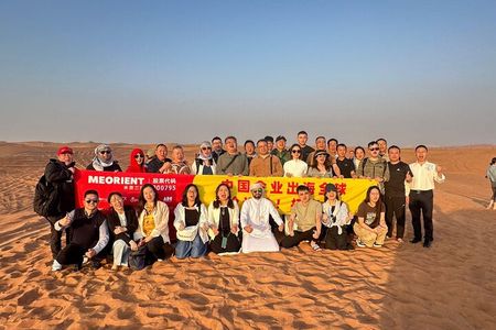 Abu Dhabi Desert Safari: Live Shows, Camel Rides & BBQ Buffet