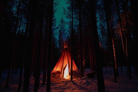 Ivalo: Aurora Hunting with Reindeer