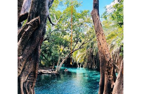 Materuni Waterfall, Chemka Hot Spring and Traditional Coffee Tour