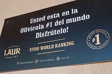 Maipú Wine and Olive Oil Tour