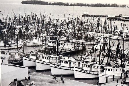 Key West Odyssey: Uncover Island Secrets, Walk by Locals