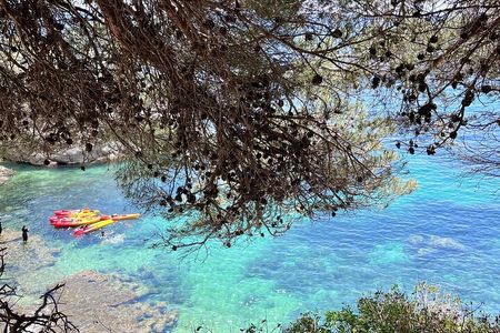 Awaken the Adventure! Kayak at 8am