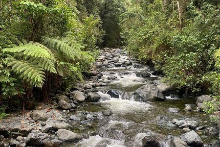 Pance Trail: Experience Waterfalls, Wildlife, and Scenic Views