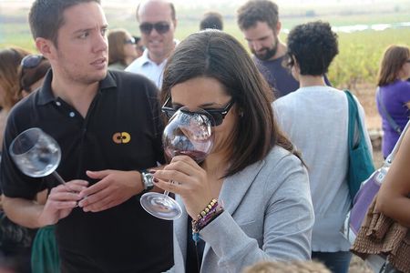 From Valencia: Vineyard Tour with Local Wine Tasting & Appetizer