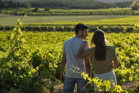 Vineyard Tour with Wine Tasting, Cava, and Snacks from Valencia