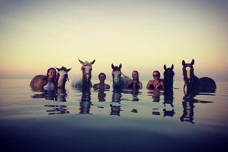 Horse Riding Tour in Hurghada – 3Hours Desert & Sea with Transfer