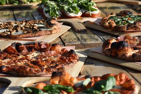 Lunch in the Vineyard: A Scenic Niagara Wine Tour Experience