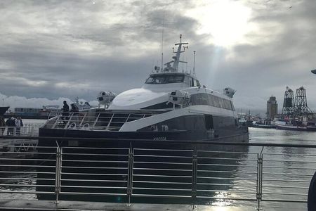 Cape Town Half-Day Robben Island Tour with Ferry Ticket