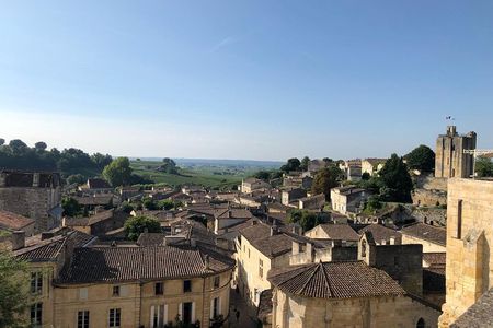 Visit of the Vineyards Saint Emilion and Medoc Day