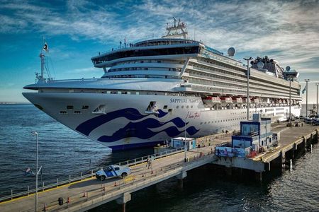 Punta Tombo Shore Tour for Princess passengers in Puerto Madryn