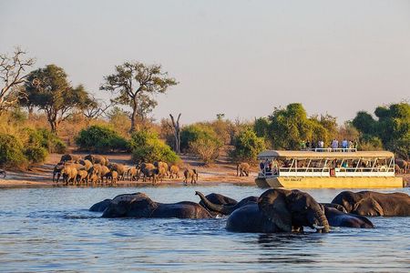 Chobe Boat Cruise & Game Drive Day Trip From Livingstone