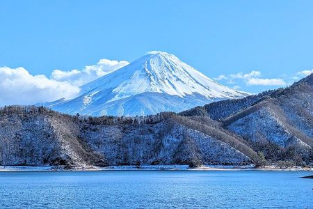 Experience the Stunning Nature of Mt.Fuji - Private Tour