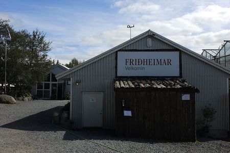 Golden Circle - Lunch at Friedhamer and Secret Lagoon(Optional)