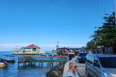 Private Customize Roatan Island Tour with culture History 