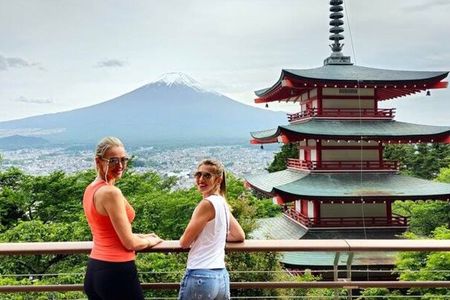 Mount Fuji Full Day Customized Private Tour with English Guide