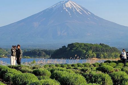 Mount Fuji Full Day Customized Private Tour with English Guide