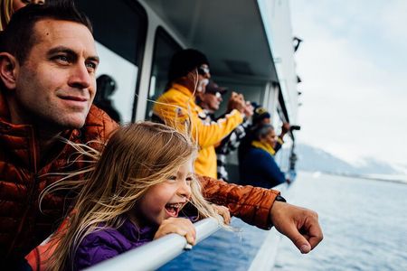 Half-day Resurrection Bay & Wildlife Tour from Seward