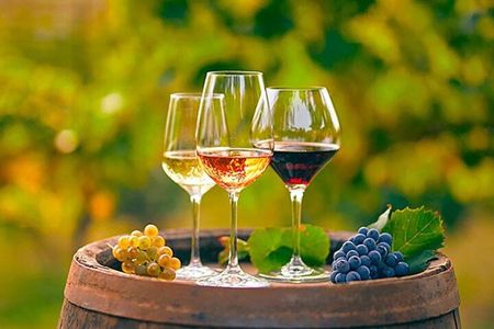 Alicante: Old Winery with Tastings & Gaudí's style of Church