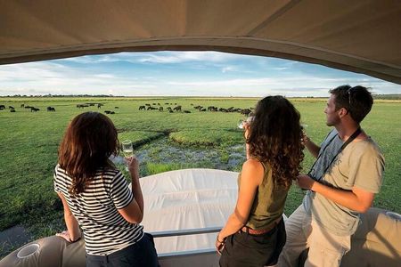Chobe Day Trip From Victoria Falls Zimbabwe