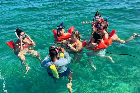 Nassau: Pig Island and Snorkeling Experience 