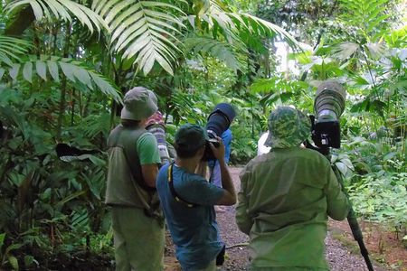 Bird watching Tour in La Fortuna 