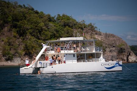 Marine Life Watch and Sunset Cruise with Costa Cat 