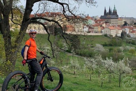 FAT TIRE E-BIKE GREAT TOUR - river, parks & panoramic views tour