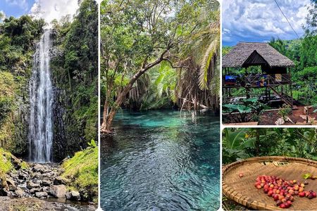Waterfall, coffee tour & hot springs - lunch and drinks included 