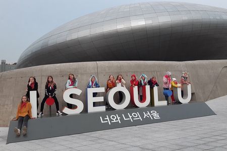 Customizing Private Tour in Seoul with Car