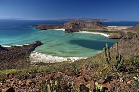 Balandra Beach Bliss Your Baja Day Adventure from Cabo