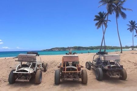  Buggy & ATV -puntacana best Adventures 