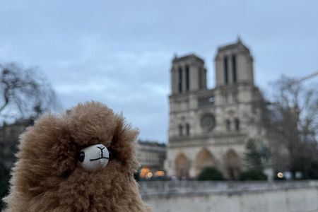 Paris Private Guided Walking Tour with Notre-Dame Visit