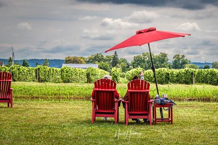 Private Niagara Falls Wine Tasting Adventure