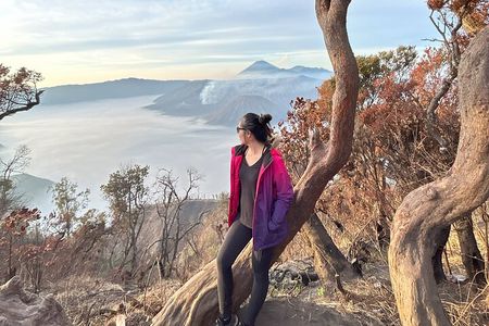 3-Day: Mt Bromo & Tumpak Sewu Waterfall from Surabaya or Malang