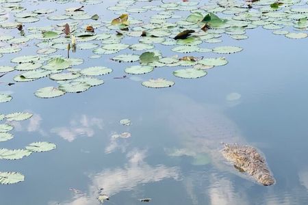 Our Lady of Peace Basilica Yamoussoukro Private Tour