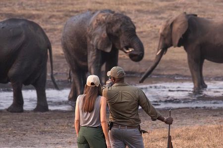 Safari Game Drive Zambezi National Park