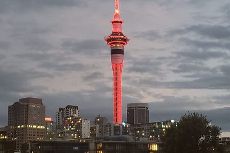 Auckland City Halfday Tour 