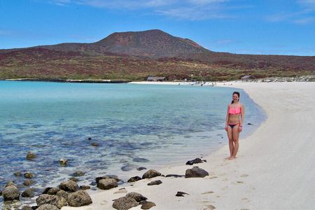 Coronado Island and Snorkel Tour