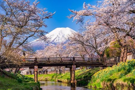 From Tokyo: Mount Fuji Sightseeing One Day Trip