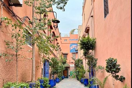 Private Tour in Magical Marrakech 