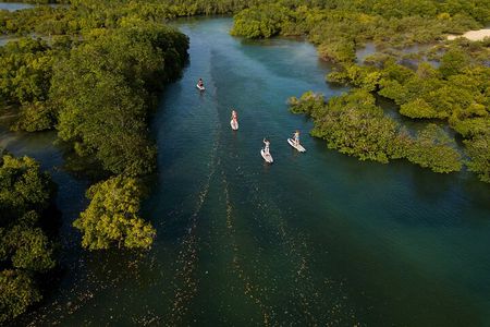 Zanzibar Memorable & Unique Guided Mangrove Tour by SUP or Kayak