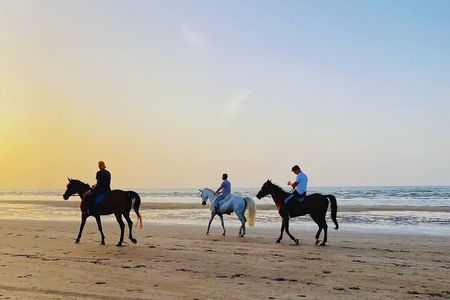 Sunset Horse Riding on the beach