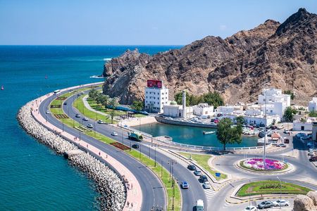 Private Half Day Muscat City Tour (Morning or Afternoon)