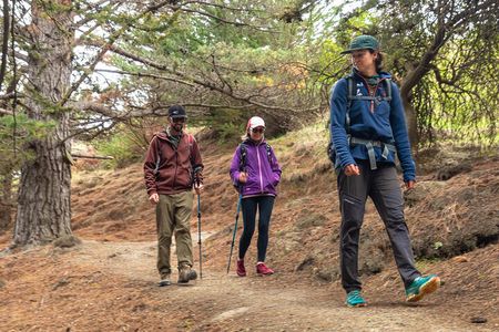 Private Walking Tour From Christchurch - Lyttelton & Godley Head