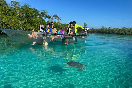Electric Powered Clear Boat Mangrove Eco Tour